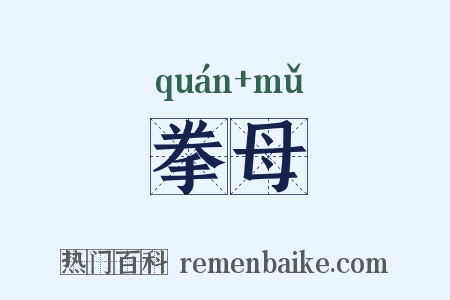 拳母是什么意思的图片